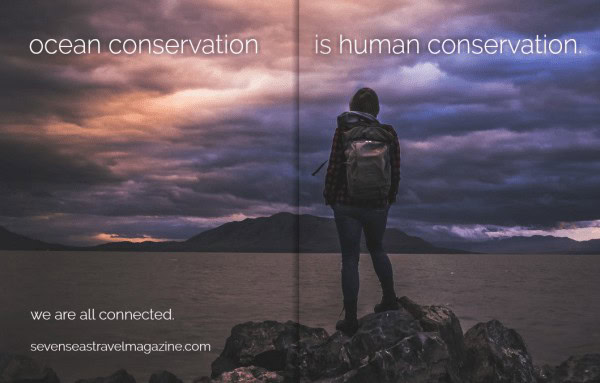 SEVENSEAS MAGAZINE features Blue Certified Article: Who You Dive With Matters