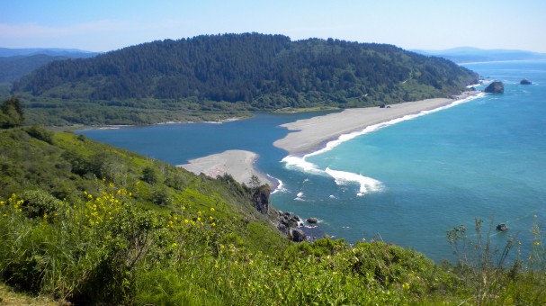 Klamath River Overlook 1, CA, Del Norte Coast Redwoods State Park, Sarah Olson, 5/14/2014