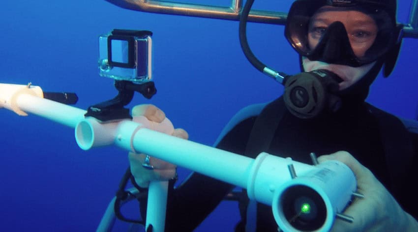 Ocean First Institute In The Times Call