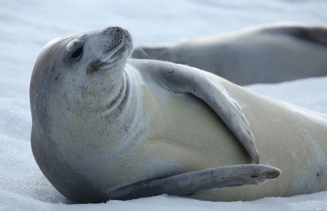 A Monumental Year for Marine Conservation
