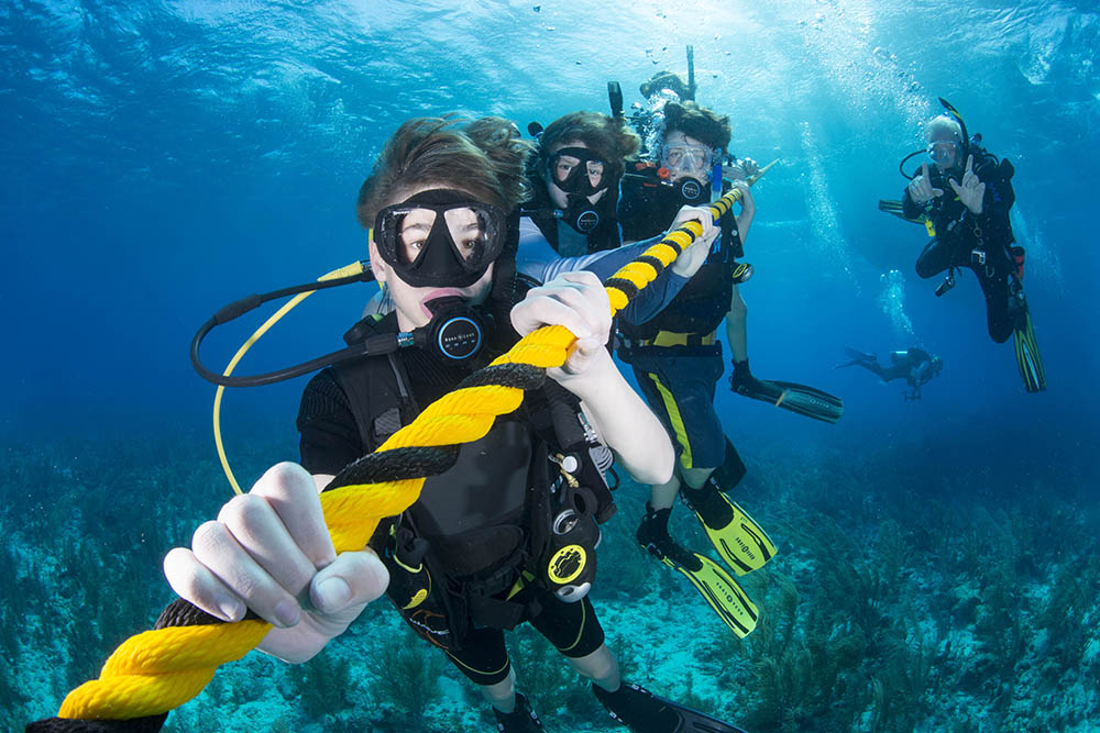 Out of the Classroom, Into the Field: Belize Expedition