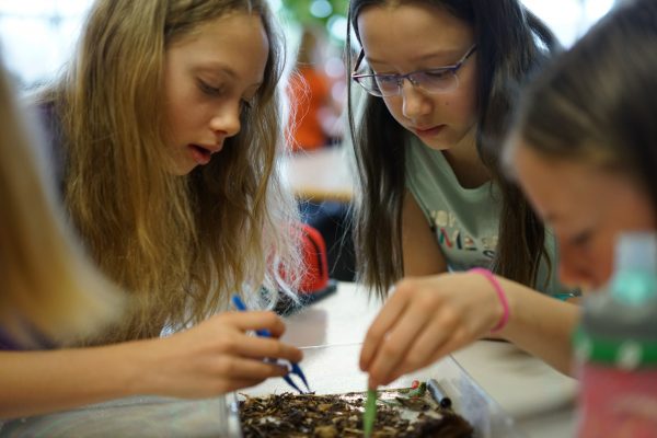 Meet Elevations Foundation Grantee: Ocean First Institute