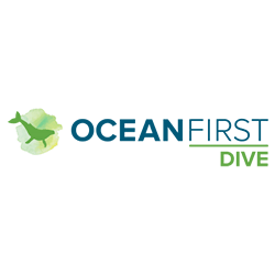 Ocean First Dive