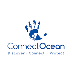 Elevantions Foundation Connect Ocean