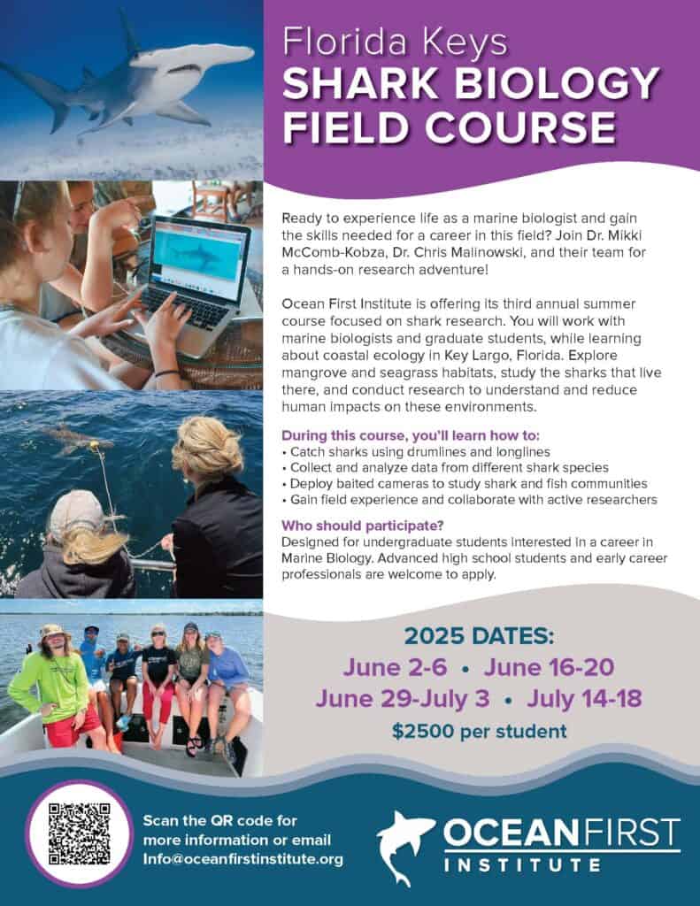 Summer Camps | Ocean First Institute