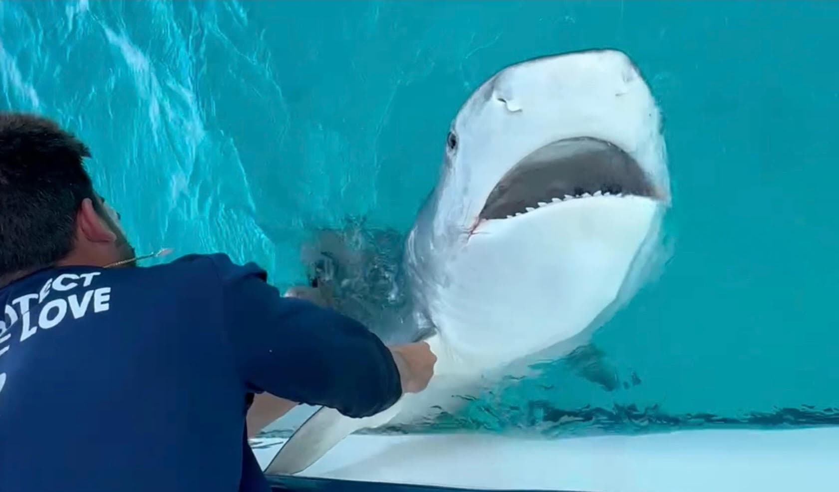 Florida Keys Shark Lab